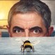 Man vs. Bee, la nouvelle comdie de Netflix se dvoile dans une premire bande-annonce