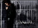 Wallpaper Angel - WiniFRED