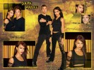 Wallpaper Dark Angel - blackrose