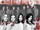 Wallpaper Desperate Housewives - kaylia