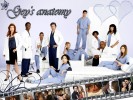 Wallpaper Grey's Anatomy - soleine92