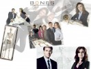 Wallpaper Bones - jordy52