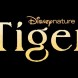 Mise en ligne du documentaire Tigres et de son making of sur Disney+