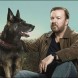After Life, la s�rie d�barque sur Netflix avec 6 �pisodes !