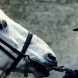 Une info Taboo sur la saison 2