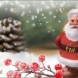 Les cadeaux vous attendent sur la citadelle !