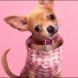 Elle d�butera le 1er juillet sur Prime Video et est d'ores et d�j� renouvel�e pour une saison 2