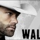 Fin de parcours pour Walker, annul�e apr�s quatre saisons par CW