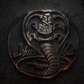 Cobra Kai : Une bande-annonce pour le retour de Karate Kid