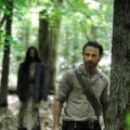 Une saison 5 pour 