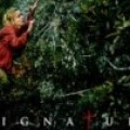 Signature - France 2