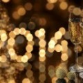 Bonne ann�e 2014 !