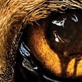 CBS offre une saison 3 � 