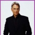 NCIS: concours