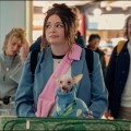 Too Much ne reviendra pas avec une deuxi�me saison sur Netflix