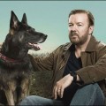 After Life, la s�rie d�barque sur Netflix avec 6 �pisodes !