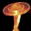 Saturn Awards 2009