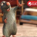 Les clics incontournables pour contribuer � la vie de la citadelle