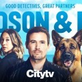 Hudson & Rex programms le mercredi sur CityTv