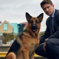 Hudson & Rex obtient une troisi�me saison !