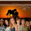 Ouverture du quartier Heartland
