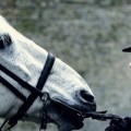 Une info Taboo sur la saison 2