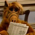 Miaou, Alf is back !!