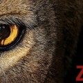 C'est termin� pour Zoo