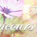 Concours de graphisme chez AryaDesign