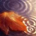 Autumn Leaves