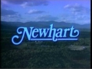 Une Nounou d'Enfer Newhart 