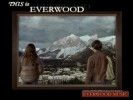 Everwood Wallpaper/Fond d'ecran 