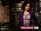Warehouse 13 Leena : personnage de la srie 