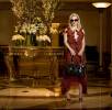 Hypnoweb Emily Procter  : biographie, carri�re et filmographie 
