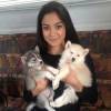 Hypnoweb Madison Cheeatow : biographie, carri�re et filmographie 