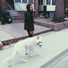 Hypnoweb Madison Cheeatow : biographie, carri�re et filmographie 