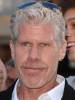 Hypnoweb Ron Perlman : biographie, carri�re et filmographie 
