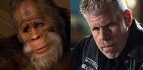 Hypnoweb Ron Perlman : biographie, carri�re et filmographie 