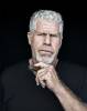 Hypnoweb Ron Perlman : biographie, carri�re et filmographie 