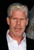 Hypnoweb Ron Perlman : biographie, carri�re et filmographie 