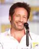 Hypnoweb David Duchovny : biographie, carri�re et filmographie 