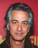 Hypnoweb David Strathairn : biographie, carri�re et filmographie 