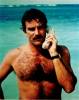 Hypnoweb Tom Selleck : biographie, carri�re et filmographie 
