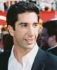 Hypnoweb David Schwimmer : biographie, carri�re et filmographie 
