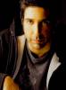 Hypnoweb David Schwimmer : biographie, carri�re et filmographie 