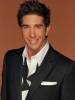 Hypnoweb David Schwimmer : biographie, carri�re et filmographie 