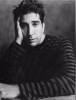 Hypnoweb David Schwimmer : biographie, carri�re et filmographie 