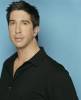 Hypnoweb David Schwimmer : biographie, carri�re et filmographie 