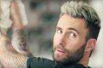 Hypnoweb Adam Levine : biographie, carri�re et filmographie 