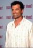 Hypnoweb Bruce Thomas : biographie, carri�re et filmographie 